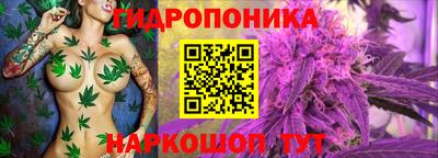 соль ск Вязники