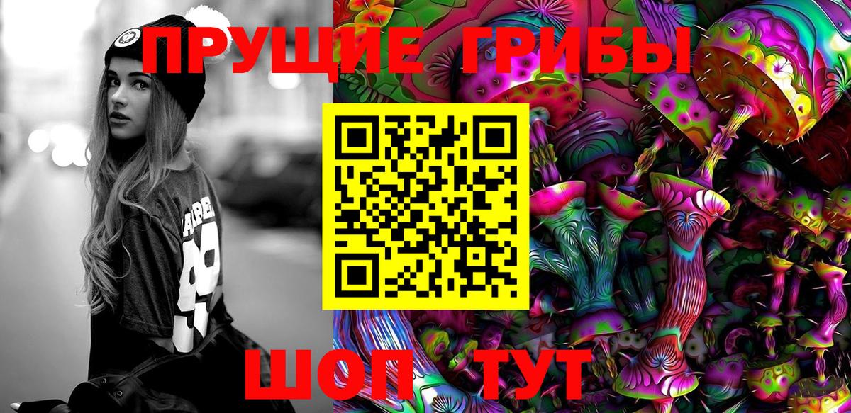 Галлюциногенные грибы прущие грибы Бор