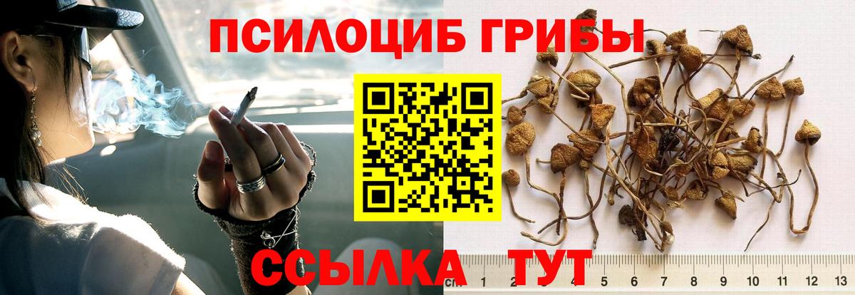 Бор  Галлюциногенные грибы мицелий  Вход с VPN 